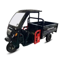Грузовой электротрицикл WHITE SIBERIA SIBTRIKE CARGO 1.6 С КАБИНОЙ