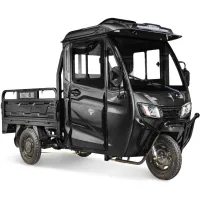 Грузовой электротрицикл Rutrike КАРГО Кабина Универсал 1500 60V1000W черный