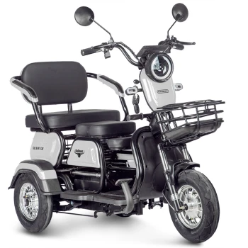 Электротрицикл Rutrike Gelbert Caf 48V/60V 600Вт Белый