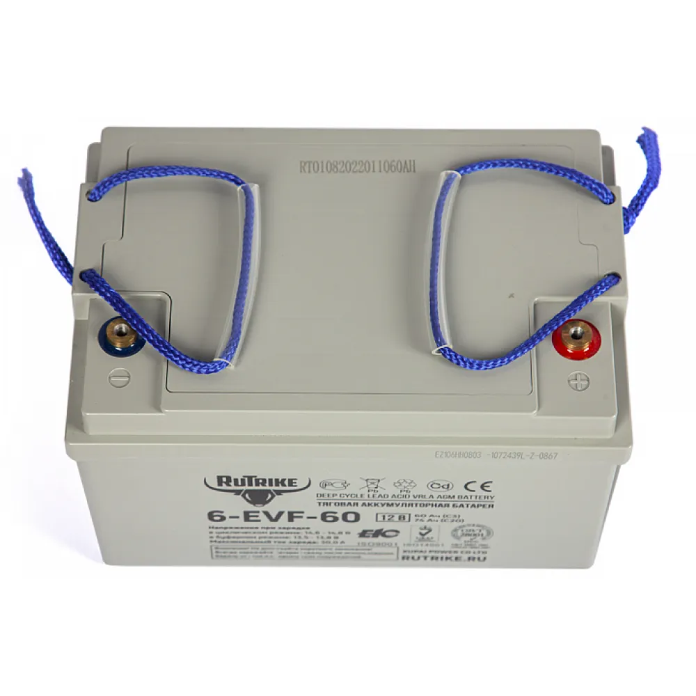 Тяговый аккумулятор RuTrike 6-EVF-60 (12V60A/H C3) 5